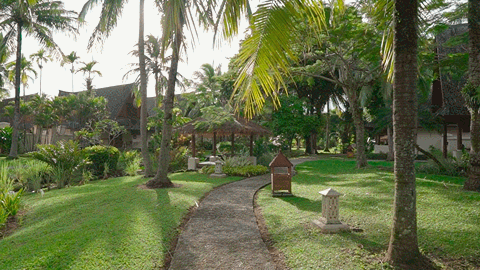 Creation of Interactive